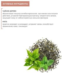Zeitun / Гель для душа защитный с антибактериальным эффектом для мужчин с маслом чайного дерева 250 мл