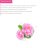 Zeitun / Гидролат розы дамасской — цветочная вода 150 мл