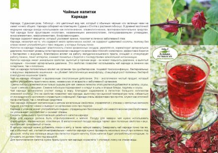 El Baraka / Чай красный цветочный египетский из Гибискуса «Каркаде», 100 г